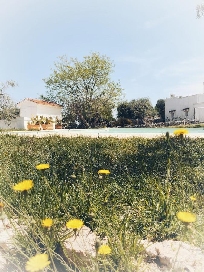 Masseria I Raffi B&B 莫诺波利 外观 照片