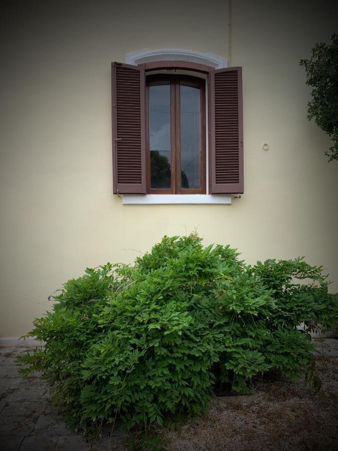 Masseria I Raffi B&B 莫诺波利 外观 照片