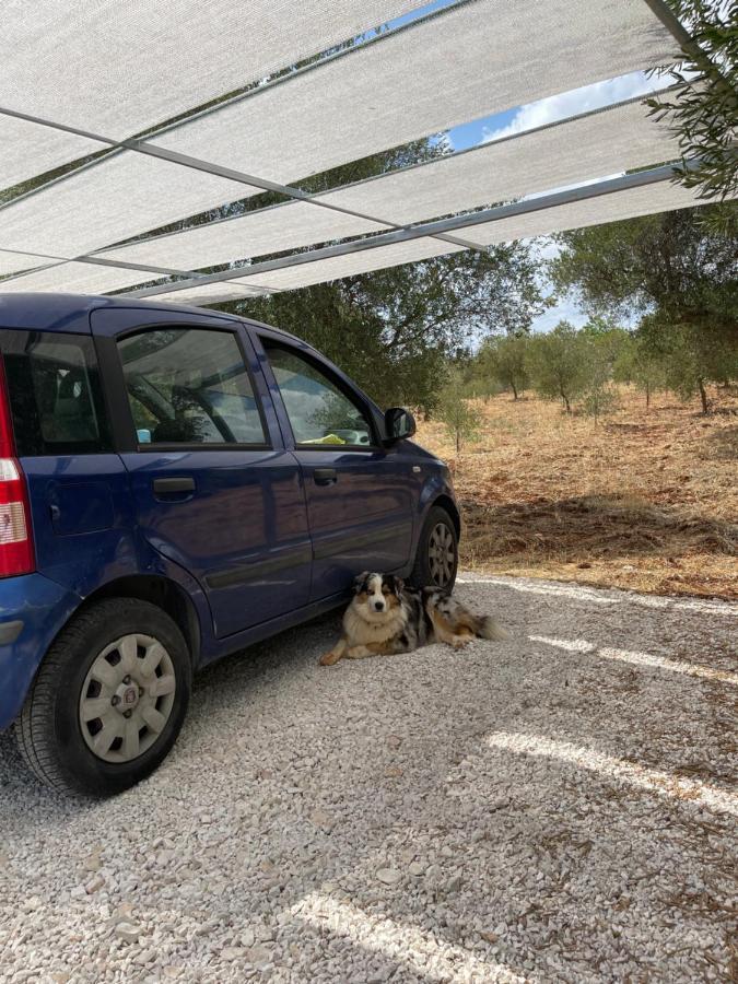 Masseria I Raffi B&B 莫诺波利 外观 照片