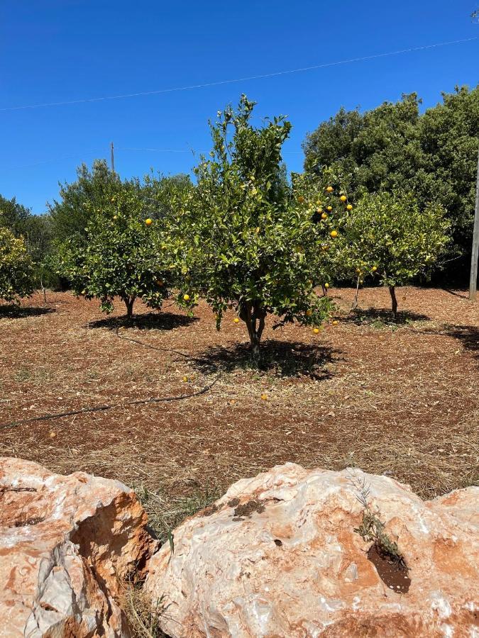 Masseria I Raffi B&B 莫诺波利 外观 照片