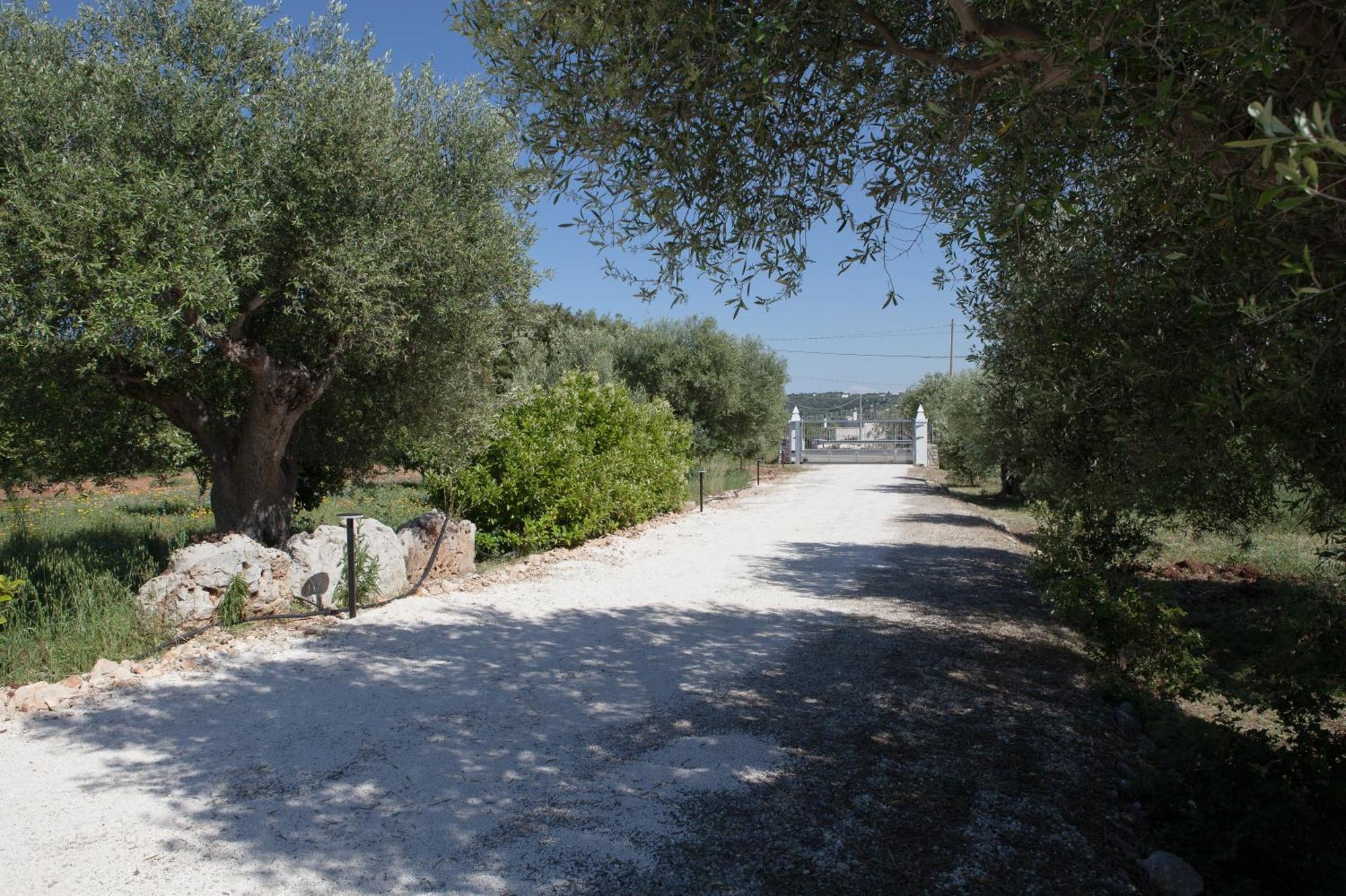 Masseria I Raffi B&B 莫诺波利 外观 照片